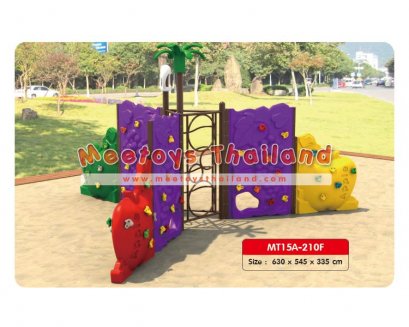 ชุดปีนป่าย